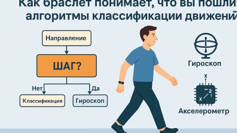 Как умные часы понимают, что вы идёте