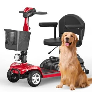 Мобильный скутер для пожилых — Электросамокаты, Spacewalk