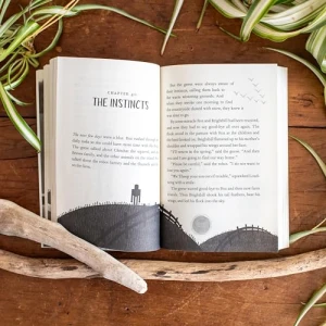 The Wild Robot Escapes, Little, Brown Books for Young Readers