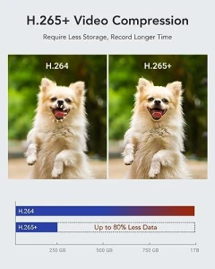 16-канальная система видеонаблюдения — Камеры видеонаблюдения, Annke