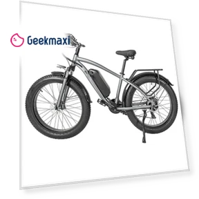 Электрический велосипед — Гироскутеры, CMACEWHEEL