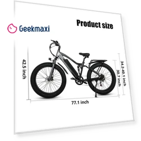 Электрический велосипед — Гироскутеры, CMACEWHEEL