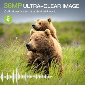 Набор из 2 камер для наблюдения за дикой природой, Punvoe