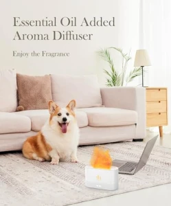 Увлажнитель воздуха с диффузором аромамасел — Аромадиффузоры, Aegci