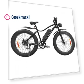 Электрический велосипед — Электромобили, isinwheel