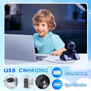 Робот с управлением жестами и проектором звезд, Shantou Globalwin Intelligent Technology Co.,Ltd.