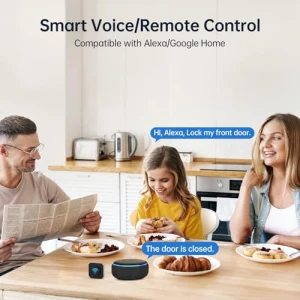 Умный замок с WiFi для входной двери — Умные замки, hornbill