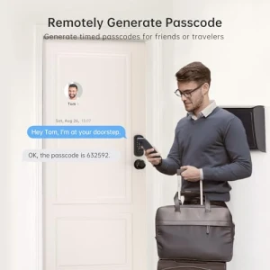 Умный дверной замок с WiFi — Умные замки, hornbill