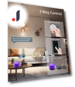 WiFi Smart Switch 16A RF 433Mhz — Умные модули, Rainbow Rain