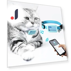 Водонепроницаемый Bluetooth-локатор для домашних животных — Трекеры, Photography