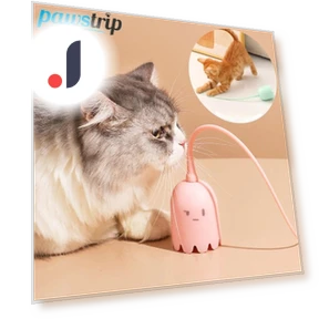 Умная игрушка для кошек — Игрушки для питомцев, Pawstrip