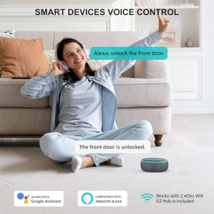 Умный замок с Wi-Fi и ключевым входом — Умные замки, hornbill