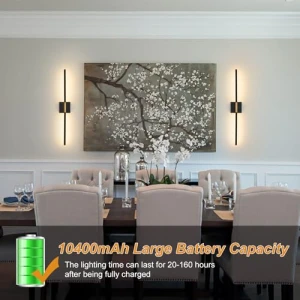 LED настенные светильники с дистанционным управлением, ZEBALINE