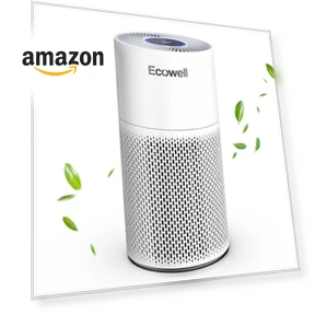 Очиститель воздуха для больших помещений — Угольные очистители, ECOWELL