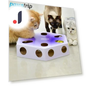 Интерактивная волшебная шкатулка для кошек — Электронные питомцы, Pawstrip