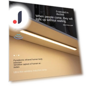 Тонкая индукционная полоса человеческого тела — LED ленты, Binchi Lighting Appliances