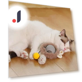 Интерактивная игрушка-мяч для кошек — Игрушки для питомцев, Kitty Cat House