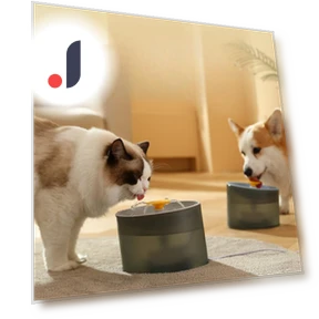 Автоматический дозатор воды для кошек — Кормление и поилки, Pet family bucket
