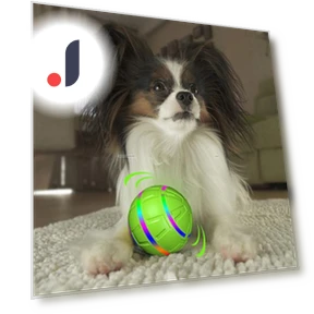 Интерактивная игрушка-мяч для собак — Мячи, Pet park