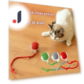 Интерактивный мяч для кошек — Игрушки для питомцев, Lucky Black Cat