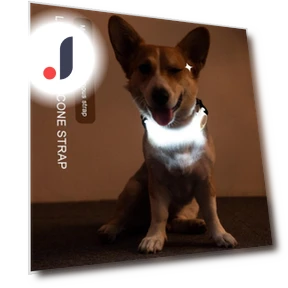Светодиодный ошейник для собак — Ошейники, Smart Pet Supplies