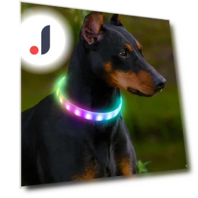 Легкий USB-ошейник для собак — Ошейники, Smart Pet Supplies