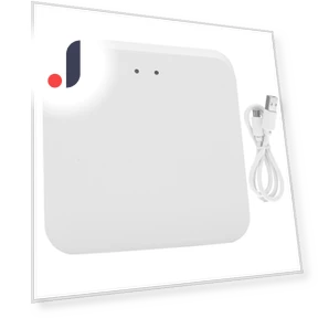 Smart Gateway Hub Home Bridge — Центры управления и контроллеры, Neoglint