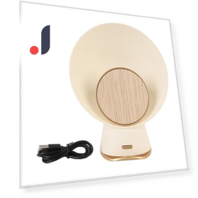 Bluetooth-динамик с зарядным устройством — Комплекты аксессуаров, DIYelecs