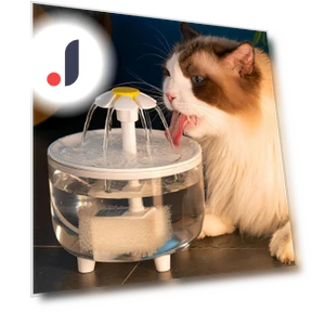 Бесшумный автоматический поильник для кошек и собак — Фонтаны, Pet daily necessities