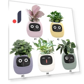 Умный горшок для растений — Контроллеры, Good Household Items