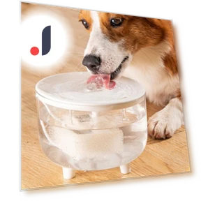 Автоматический фонтан для воды домашних животных — Фонтаны, Pet park