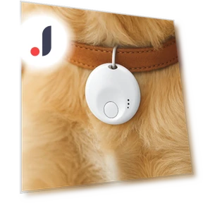 GPS-трекер для питомцев с напоминаниями — GPS-трекеры, Cmjyrtye