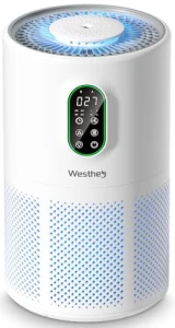 Очиститель воздуха для больших помещений, WESTHEY