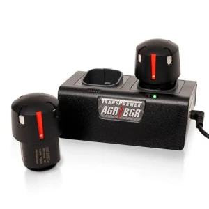 Двойное зарядное устройство и две сменные батареи, Artisan Power