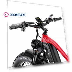 Электрический велосипед с двойным мотором и жирными шинами — Гироскутеры, DUOTTS