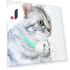 Умные ошейники для кошек — Игрушки для питомцев, Challenge