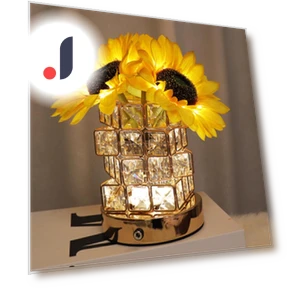Декоративный светодиодный ночник — Оригинальные светильники, Binchi Lighting Appliances