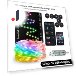 Волшебные гирлянды Dreamcolor USB LED RGB — Гирлянды для дома, AE Selection