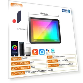 Умная RGB TUYA прожекторная лампа — Прожекторы и охранное освещение, AE Selection