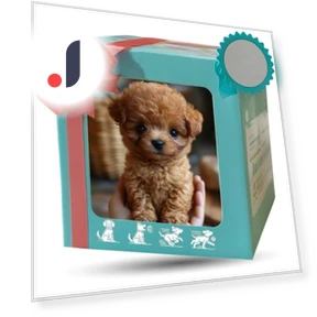 Плюшевый робот-собака — Интерактивные игрушки, Lianchuang