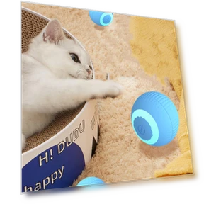 Автоматический катящийся шарик для кошек — Игрушки для питомцев, BeautifulJoy