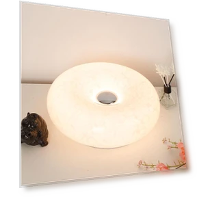 Настенный светильник Donut с сенсорным управлением — Напольные светильники, FluxZone