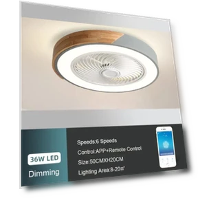 Умный потолочный вентилятор с подсветкой — Комплекты освещения для потолочных вентиляторов, Good Household Items