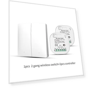 Умный WiFi выключатель с голосовым управлением — Центры управления и контроллеры, StrideBox