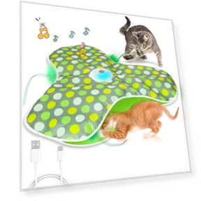 Интерактивная удочка с пером для кошек — Игрушки для питомцев, gaodaidecoe