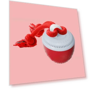 Интерактивная игрушка для собак с автоматическим движением — Игрушки, lingfeng