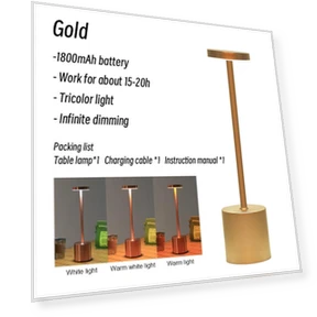 Светодиодная перезаряжаемая сенсорная настольная лампа — Настольные лампы, YWZT Decorative lights