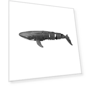 Умная радиоуправляемая акула — Водный транспорт, Pretty life