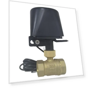 Умный контроллер водяного клапана — Контроллеры, ToolCraft