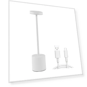 Беспроводная настольная лампа — Настольные лампы, Pleasure Holiday